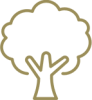 Direito Ambiental e Minerário